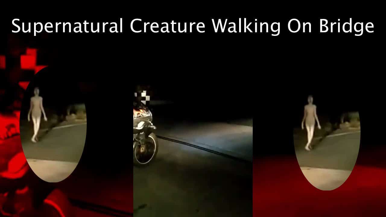Supernatural Creature Walking on Bridge (Real & Facts)